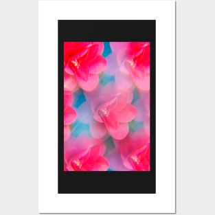 Pink camellia flowers Posters and Art